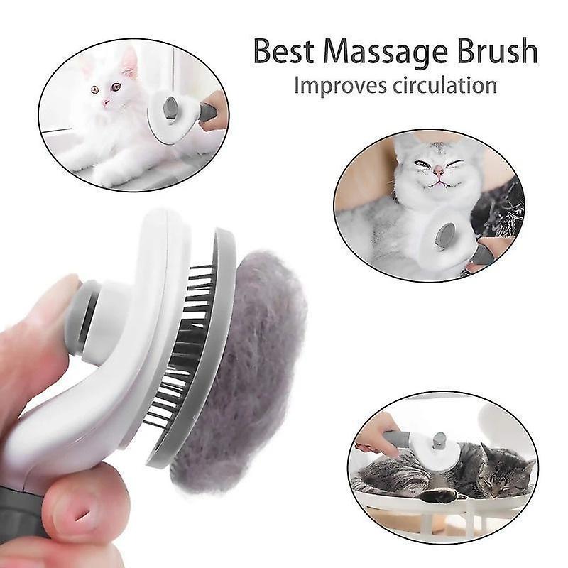 Pet Brush