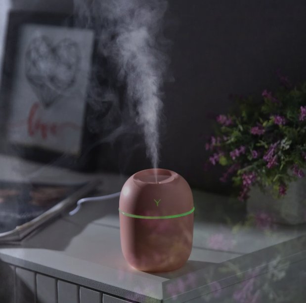 Egg Shaped Humidifier