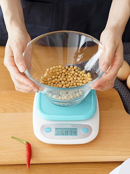 Electronic Food Scale