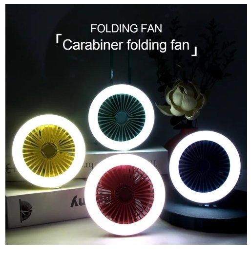 Rechargeable Electric Fan